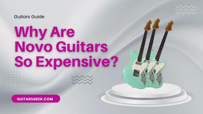 Why Are Novo Guitars So Expensive